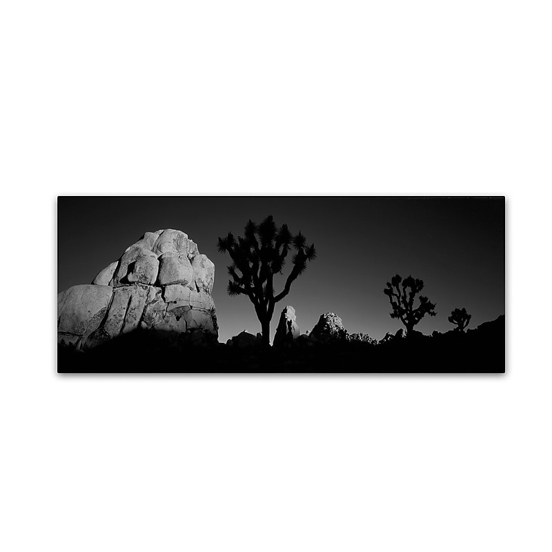 Trademark David Evans "First Light B&W-Joshua Tree NP" Gallery-Wrapped Canvas Art, 8" x 24" image 1