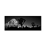 Trademark David Evans "First Light B&W-Joshua Tree NP" Gallery-Wrapped Canvas Art, 8" x 24"~#|#~m001697147_sc7