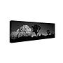 Trademark David Evans "First Light B&W-Joshua Tree NP" Gallery-Wrapped Canvas Art, 8" x 24"~#|#~m001697148_sc7