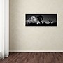 Trademark David Evans "First Light B&W-Joshua Tree NP" Gallery-Wrapped Canvas Art, 8" x 24"~#|#~m001697149_sc7
