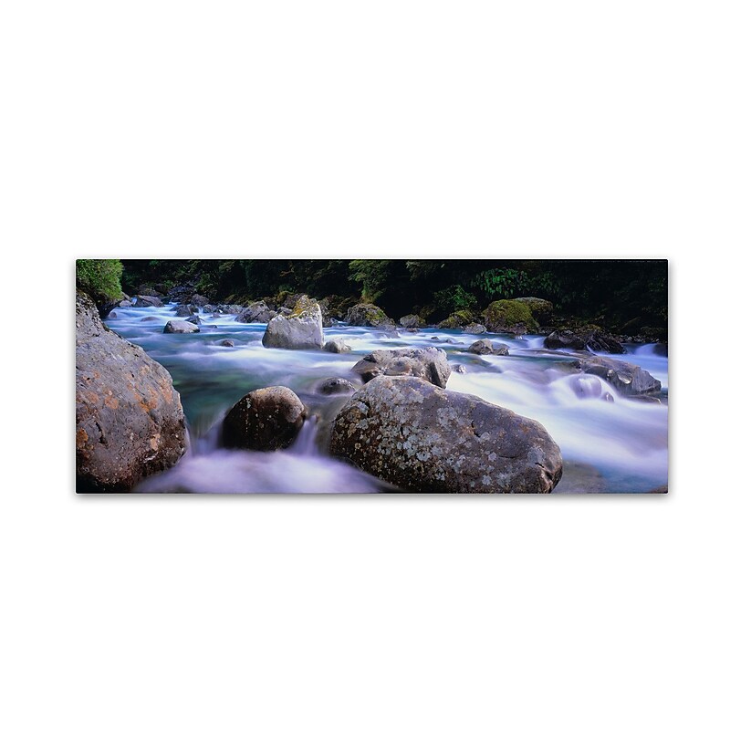 Trademark David Evans "Hollyford River-NZ" Gallery-Wrapped Canvas Art, 16" x 47" image 1