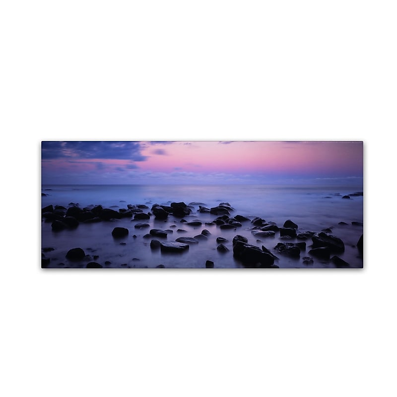 Trademark David Evans "Lorne Coastline-Great Ocean Road" Gallery-Wrapped Canvas Art, 8" x 24" image 1