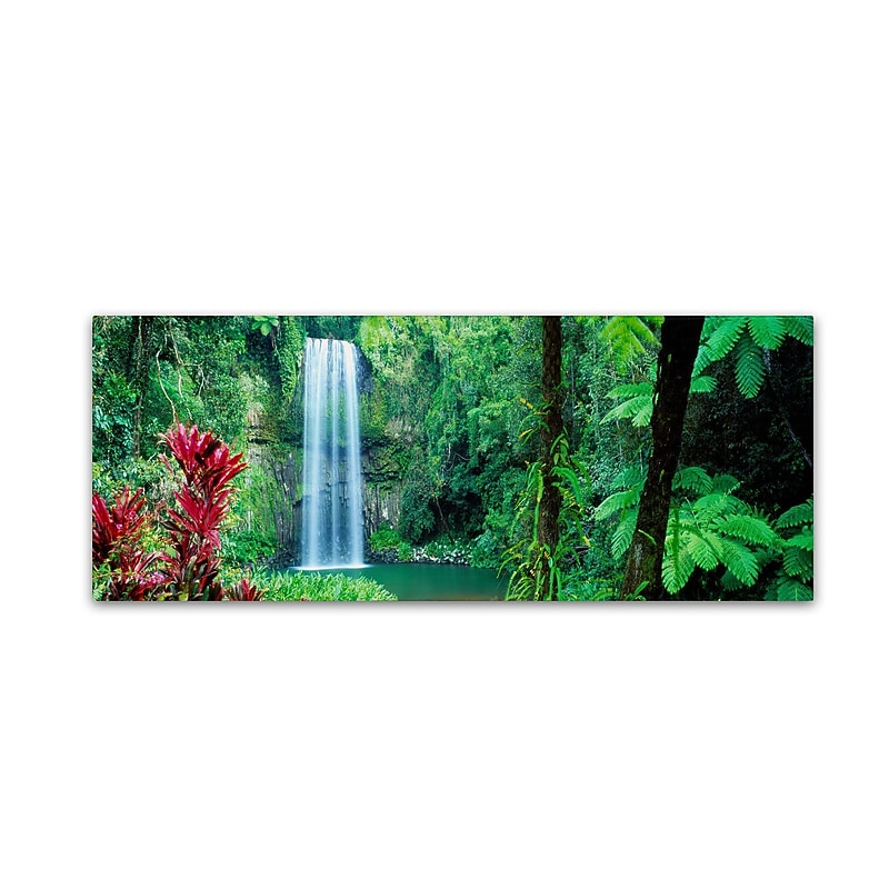 Trademark David Evans "Milla Milla Falls" Gallery-Wrapped Canvas Art, 8" x 24" image 1