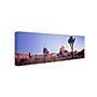 Trademark David Evans "Mojave Glow-Joshua Tree NP" Gallery-Wrapped Canvas Art, 10" x 32"~#|#~m001697217_sc7