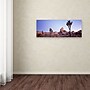 Trademark David Evans "Mojave Glow-Joshua Tree NP" Gallery-Wrapped Canvas Art, 10" x 32"~#|#~m001697218_sc7