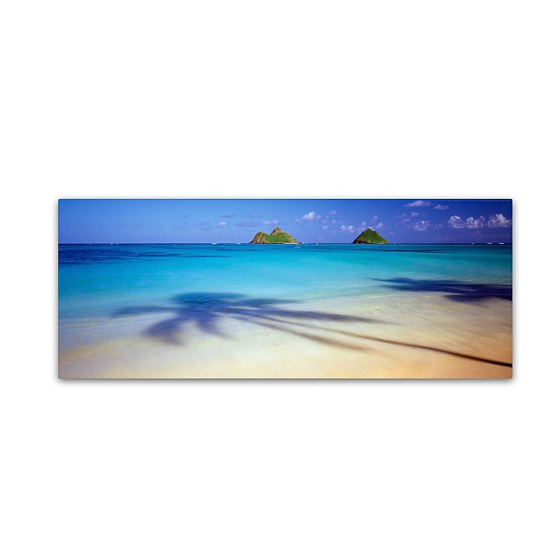 Trademark David Evans "Mokulua-Hawaii" Gallery-Wrapped Canvas Art, 6" x 19" image 1