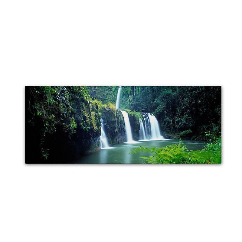 Trademark David Evans "Nandroya Falls-Queensland" Gallery-Wrapped Canvas Art, 6" x 19" image 1