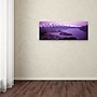 Trademark David Evans "Queenstown and The Remarkables-NZ" Gallery-Wrapped Canvas Art, 6" x 19"~#|#~m001697260_sc7