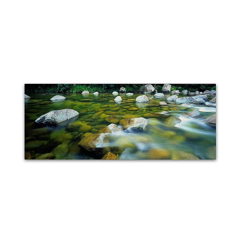Trademark David Evans "Tropical Flow-Mossman Gorge" Gallery-Wrapped Canvas Art, 10" x 32" image 1