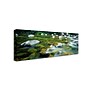 Trademark David Evans "Tropical Flow-Mossman Gorge" Gallery-Wrapped Canvas Art, 10" x 32"~#|#~m001697289_sc7