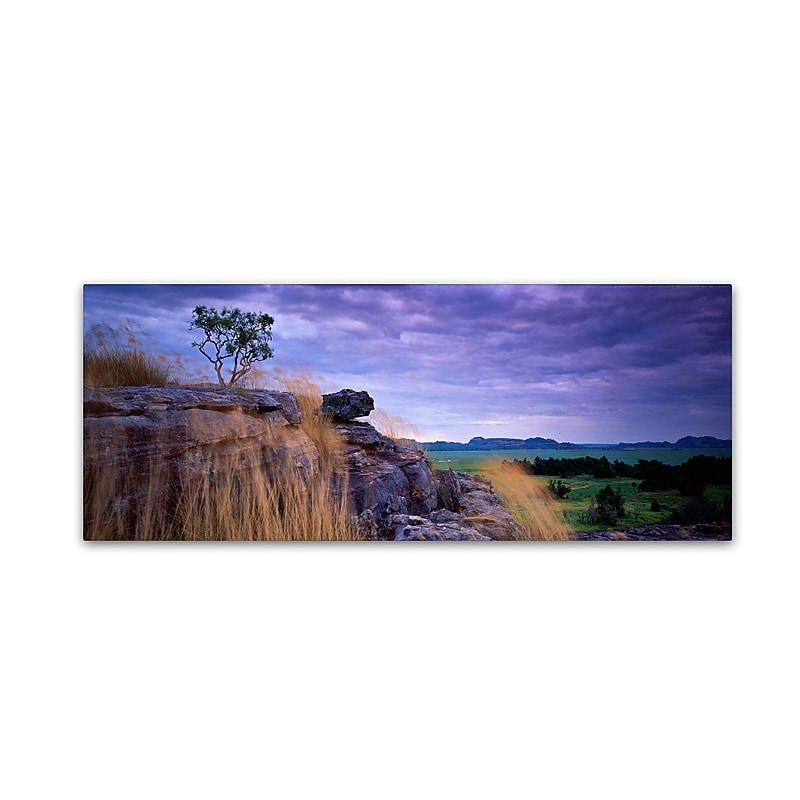 Trademark David Evans "Ubirr-Kakadu" Gallery-Wrapped Canvas Art, 8" x 24" image 1