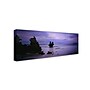 Trademark David Evans "Vivonne Bay-Kangaroo Island" Gallery-Wrapped Canvas Art, 10" x 32"~#|#~m001697301_sc7