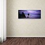 Trademark David Evans "Vivonne Bay-Kangaroo Island" Gallery-Wrapped Canvas Art, 10" x 32"~#|#~m001697302_sc7