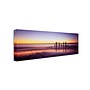 Trademark David Evans "Willunga Glow" Gallery-Wrapped Canvas Art, 6" x 19"~#|#~m001697304_sc7