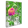 Trademark Kathie McCurdy "Hot Tropic" Gallery-Wrapped Canvas Art, 24" x 32"~#|#~m001697625_sc7