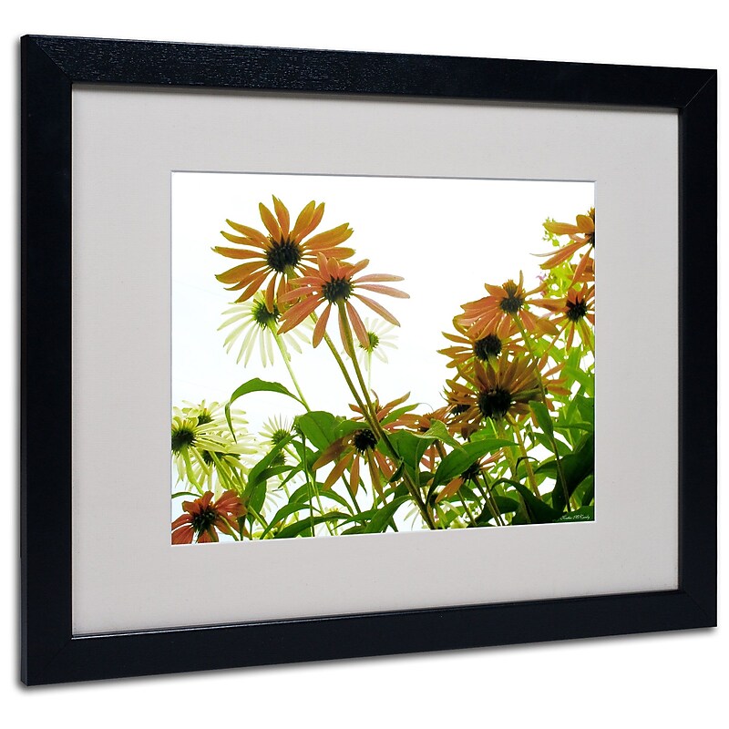 Trademark Kathie McCurdy "Orange Coneflowers" Art, White Matte With Black Frame, 16" x 20" image 1