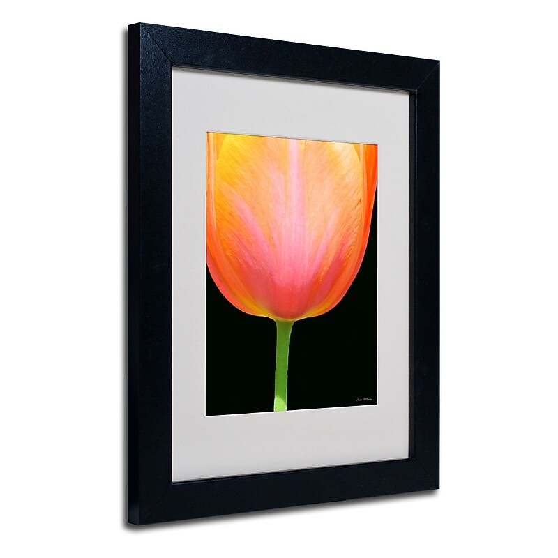 Trademark Kathie McCurdy "Orange Tulip" Art, White Matte With Black Frame, 11" x 14" image 1