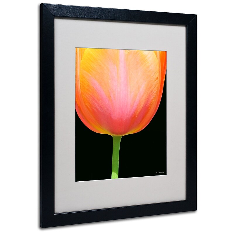 Trademark Kathie McCurdy "Orange Tulip" Art, White Matte With Black Frame, 16" x 20" image 1