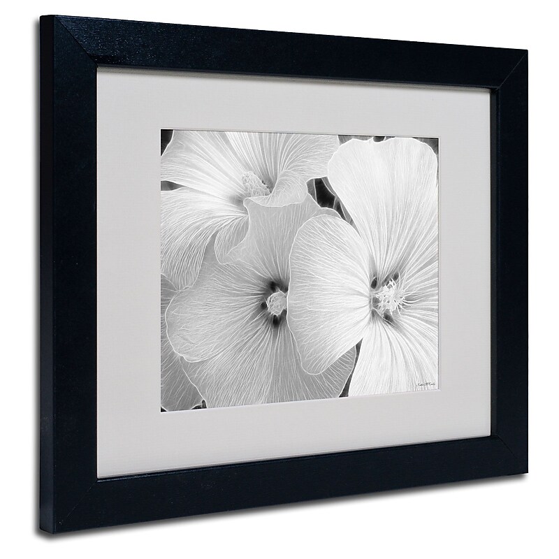 Trademark Kathie McCurdy "Sheer Malva" Art, White Matte With Black Frame, 11" x 14" image 1