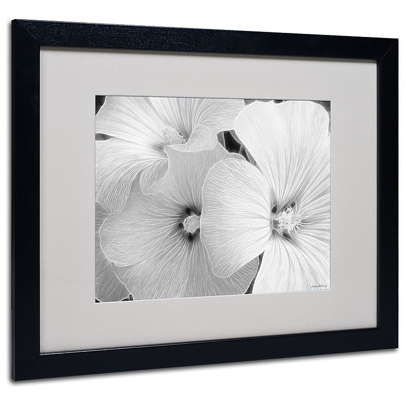 Trademark Kathie McCurdy "Sheer Malva" Art, White Matte With Black Frame, 16" x 20" image 1
