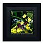 Trademark Kurt Shaffer "Doris Longwing Butterfly on ..." Art, Black Matte W/Black Frame, 11" x 11"~#|#~m001697682_sc7