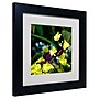 Trademark Kurt Shaffer "Doris Longwing Butterfly on ..." Art, Black Matte W/Black Frame, 11" x 11"~#|#~m001697683_sc7