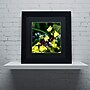 Trademark Kurt Shaffer "Doris Longwing Butterfly on ..." Art, Black Matte W/Black Frame, 11" x 11"~#|#~m001697684_sc7