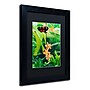 Trademark Kurt Shaffer "Hecale Longwing on Orchid" Art, Black Matte With Black Frame, 11" x 14"~#|#~m001697698_sc7