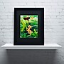 Trademark Kurt Shaffer "Hecale Longwing on Orchid" Art, Black Matte With Black Frame, 11" x 14"~#|#~m001697699_sc7