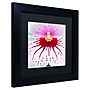 Trademark Kurt Shaffer "Mother Natures Imagination Orchid" Art, Black Matte W/Black Frame, 11" x 11"~#|#~m001697713_sc7