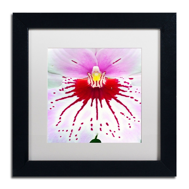 Trademark Kurt Shaffer "Mother Natures Imagination Orchid" Art, White Matte W/Black Frame, 11" x 11" image 1