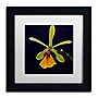 Trademark Kurt Shaffer "Orchid #1" Art, White Matte With Black Frame, 11" x 11"~#|#~m001697745_sc7