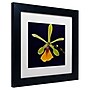 Trademark Kurt Shaffer "Orchid #1" Art, White Matte With Black Frame, 11" x 11"~#|#~m001697746_sc7