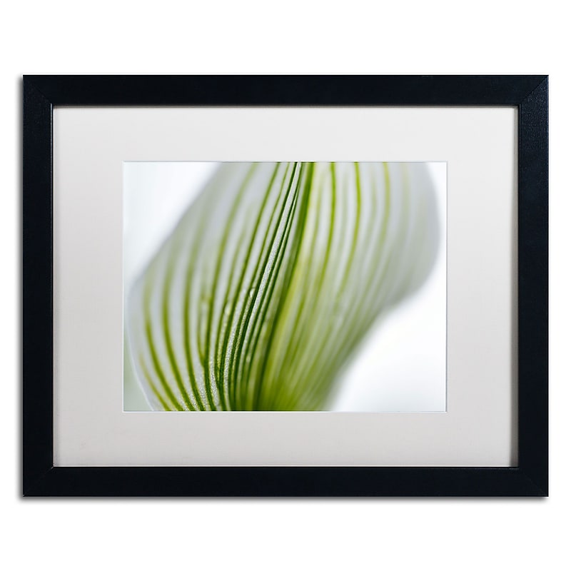 Trademark Kurt Shaffer "Orchid Abstract Blurred Lines" Art, White Matte With Black Frame, 16" x 20" image 1