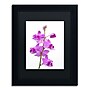 Trademark Kurt Shaffer "Purple Orchids" Art, Black Matte With Black Frame, 11" x 14"~#|#~m001697814_sc7