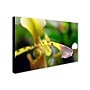 Trademark Kurt Shaffer "To Touch an Orchid" Gallery-Wrapped Canvas Art, 30" x 47"~#|#~m001697872_sc7