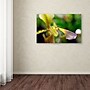 Trademark Kurt Shaffer "To Touch an Orchid" Gallery-Wrapped Canvas Art, 30" x 47"~#|#~m001697873_sc7