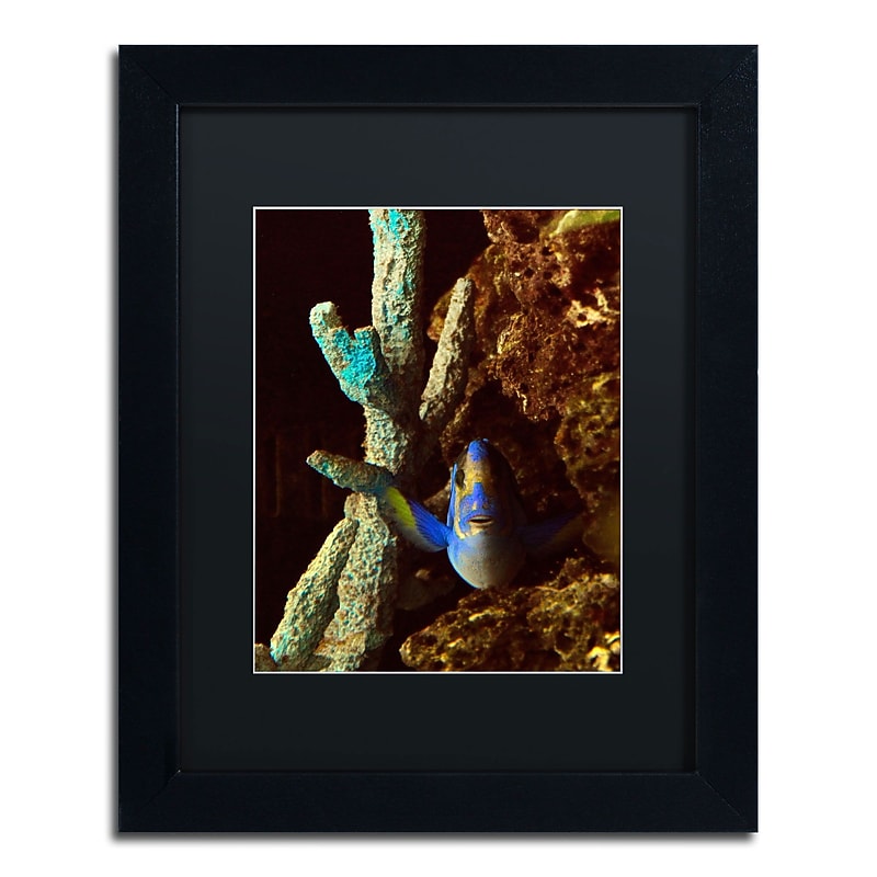 Trademark Kurt Shaffer "Fish in the Rocks" Art, Black Matte With Black Frame, 11" x 14" image 1