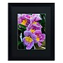 Trademark Kurt Shaffer "Happy Orchids" Art, Black Matte With Black Frame, 16" x 20"~#|#~m001697959_sc7