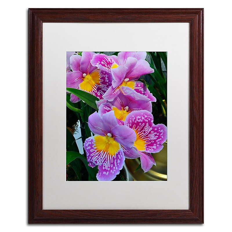 Trademark Kurt Shaffer "Happy Orchids" Art, White Matte With Wood Frame, 16" x 20" image 1