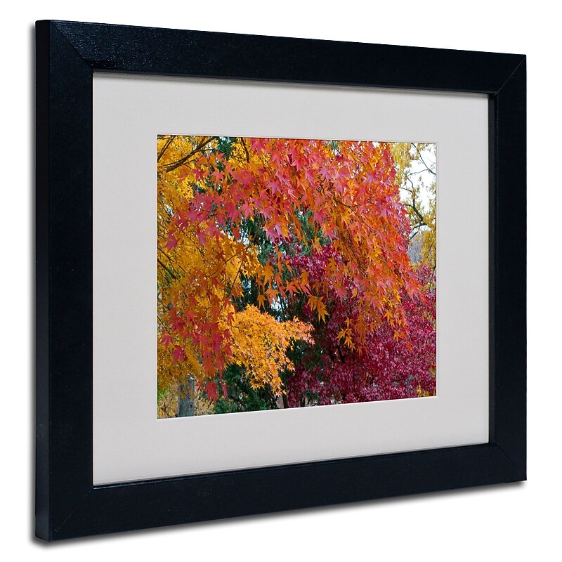 Trademark Kurt Shaffer "Autumn Explosion" Art, White Matte With Black Frame, 11" x 14" image 1