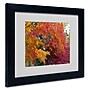 Trademark Kurt Shaffer "Autumn Explosion" Art, White Matte With Black Frame, 11" x 14"~#|#~m001698007_sc7