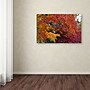 Trademark Kurt Shaffer "Autumn Explosion" Gallery-Wrapped Canvas Art, 22" x 32"~#|#~m001698014_sc7