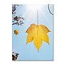 Trademark Kurt Shaffer "Autumn Inspiration" Gallery-Wrapped Canvas Art, 35" x 47"~#|#~m001698028_sc7