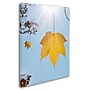 Trademark Kurt Shaffer "Autumn Inspiration" Gallery-Wrapped Canvas Art, 35" x 47"~#|#~m001698029_sc7