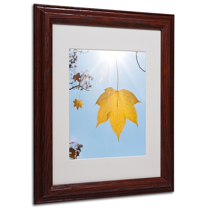 Trademark Kurt Shaffer "Autumn Inspiration" Art, White Matte With Wood Frame, 11" x 14" image 1