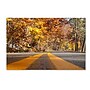 Trademark Kurt Shaffer "Autumn Road" Gallery-Wrapped Canvas Art, 30" x 47"~#|#~m001698041_sc7