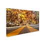 Trademark Kurt Shaffer "Autumn Road" Gallery-Wrapped Canvas Art, 30" x 47"~#|#~m001698042_sc7