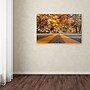 Trademark Kurt Shaffer "Autumn Road" Gallery-Wrapped Canvas Art, 30" x 47"~#|#~m001698043_sc7
