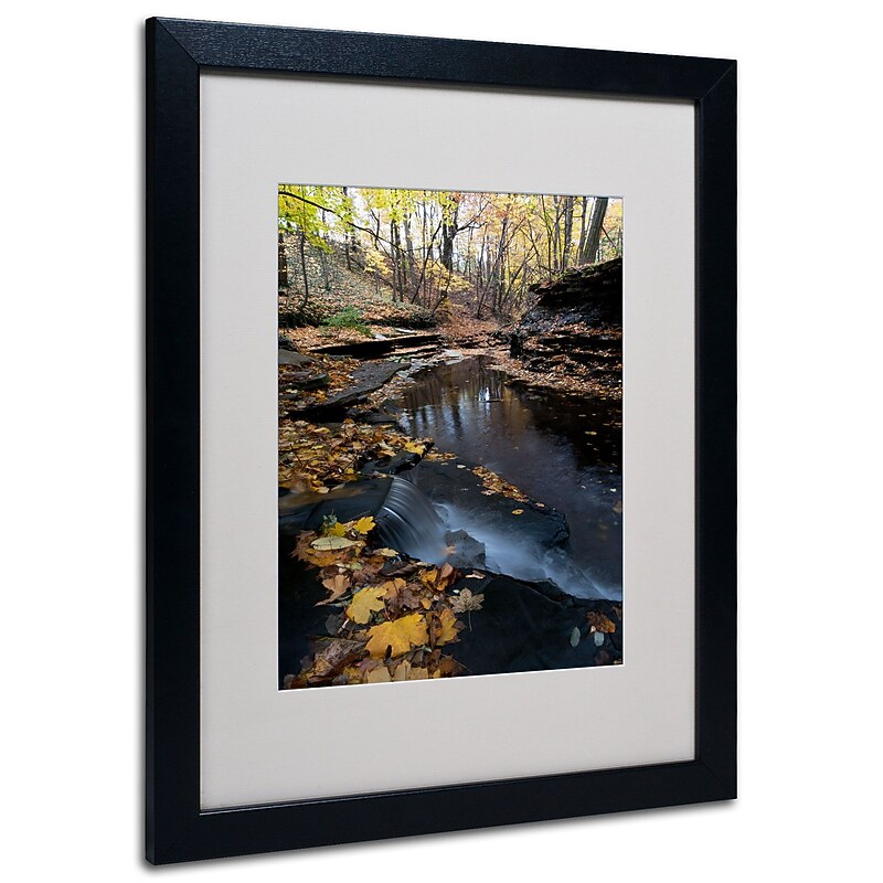 Trademark Kurt Shaffer "Autumn Stream" Art, White Matte With Black Frame, 16" x 20" image 1